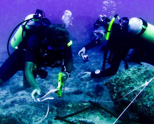 marine-biology-subject-1200x600